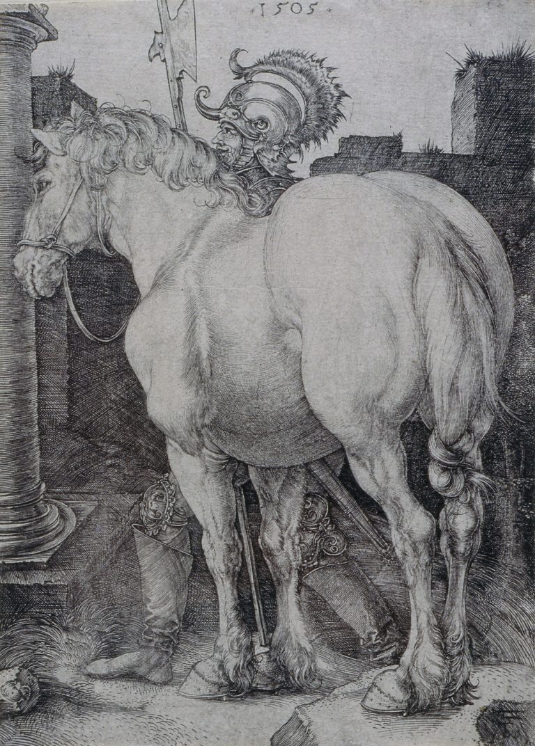 Gallery thumbnail. Albrecht Durer. The Great Horse, 1505. Engraving. 15.9 x 11.3 cm. Collection Irish Museum of Modern Art. Donation, Madden Arnholz Collection, 1989.