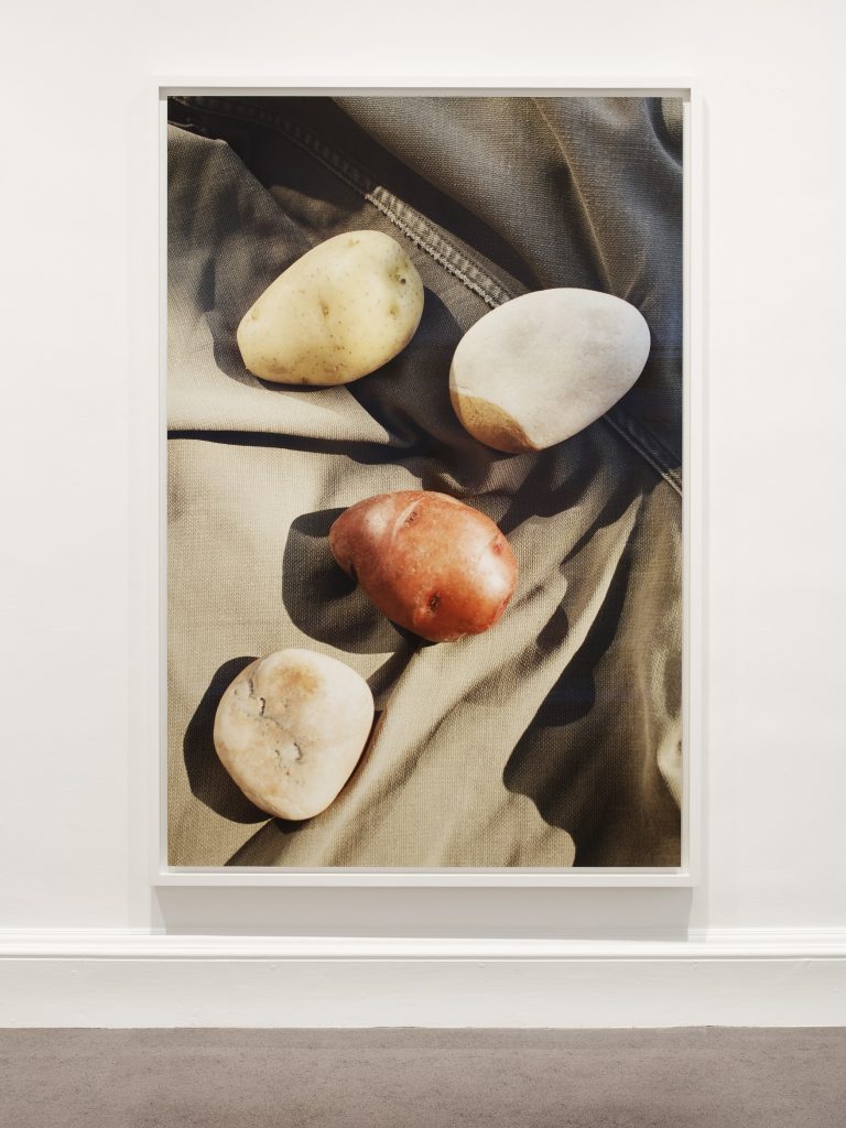Gallery thumbnail. Installation View of Wolfgang Tillmans, Rebuilding the Future, IMMA, Dublin, 2018. Photo: Ros Kavanagh