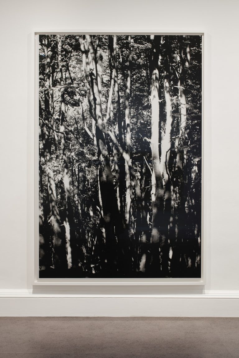 Gallery thumbnail. Installation View of Wolfgang Tillmans, Rebuilding the Future, IMMA, Dublin, 2018. Photo: Ros Kavanagh